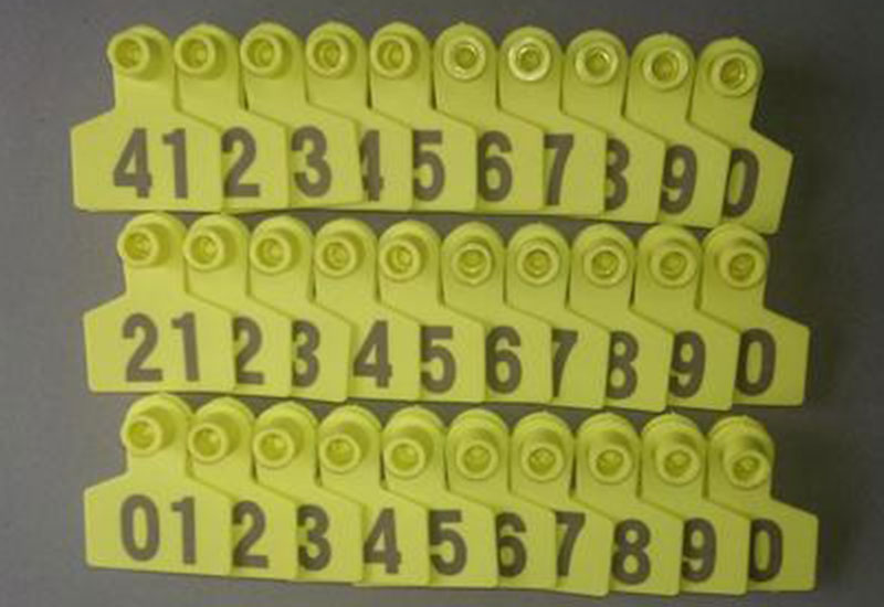 Laser-Marking-Machine-for-Ear-Tags-1