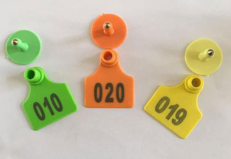 Laser-Marking-Machine-for-Ear-Tags-2