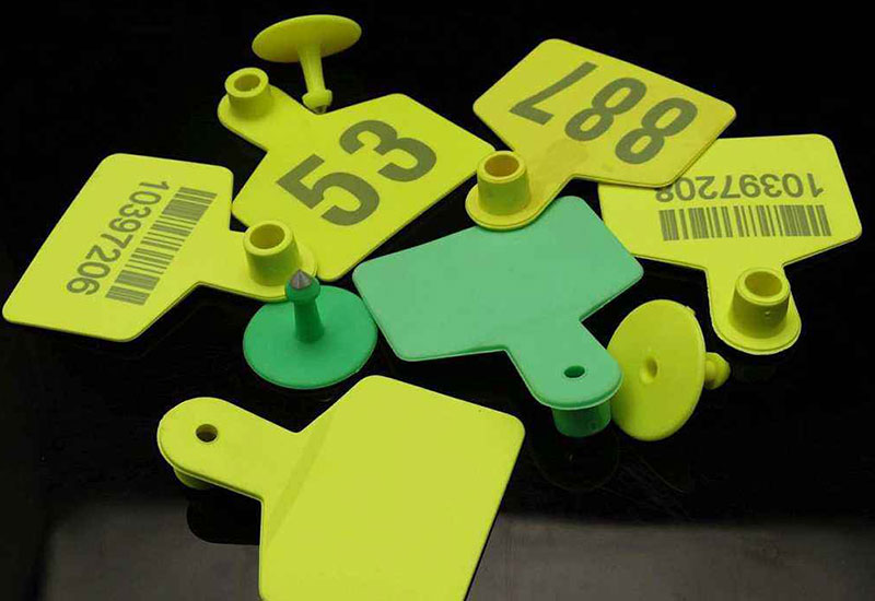 Laser-Marking-Machine-for-Ear-Tags-3 Laser-Marking-Machine-for-Ear-Tags-3