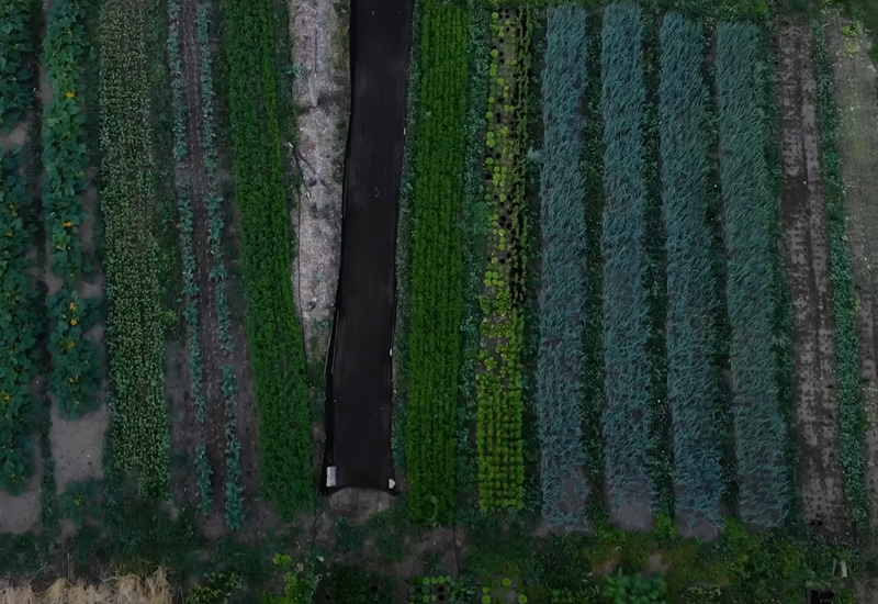 Fiber-Laser-Cutting-Machine-for-Agricultural-Machinery-Parts-2 Fiber-Laser-Cutting-Machine-for-Agricultural-Machinery-Parts-2